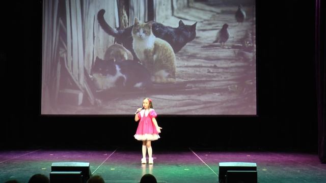 Кошка беспородная исп Стацевич Мария студия Конфетти смотреть онлайн