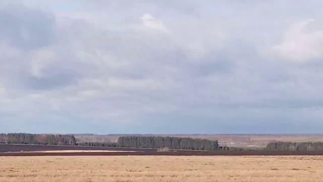 Гуси лебеди улетают. смотреть онлайн