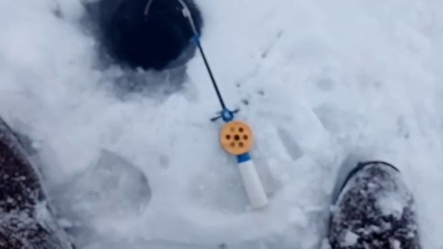 Леска ТРЕЩИТ от этой РЫБЫ!!! Рыбалка на ВДХР Кутулук, на подлещика и сорожку. Ловля щуки на жерлицы смотреть онлайн