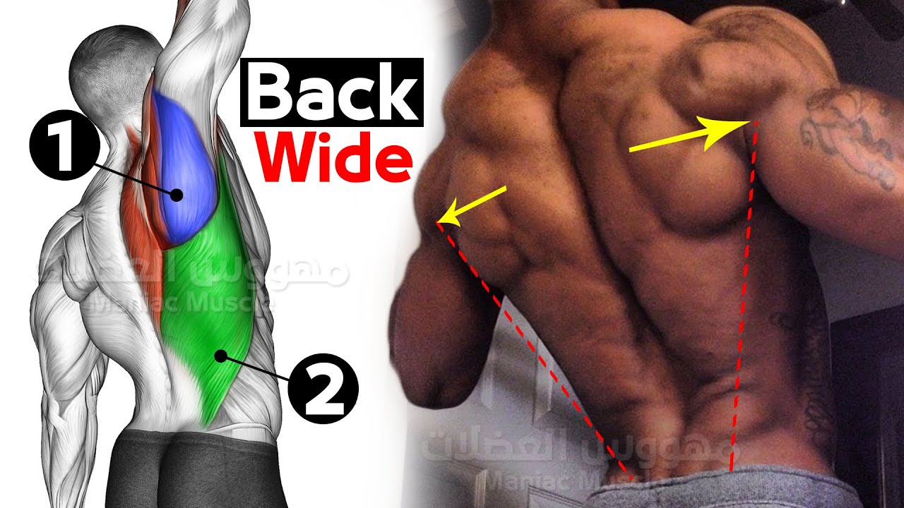 Как улучшить тренировку спины (6 эффективных упражнений) смотреть онлайн
