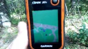 Выживание в  лесу. GARMIN GPS - навигатор для туриста, ищем где растут маслята.