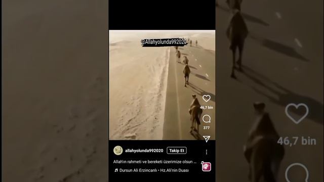 Allah'ım sen bizi affeyle Amin🤲 смотреть онлайн