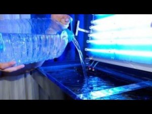 Какую воду заливать в аквариум