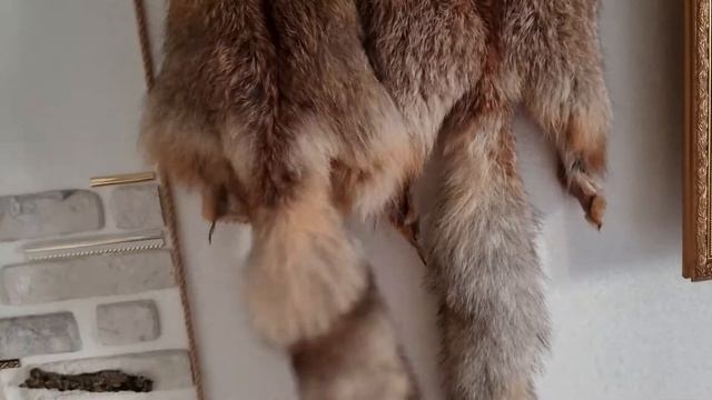 Стоша Говнозад смотреть онлайн