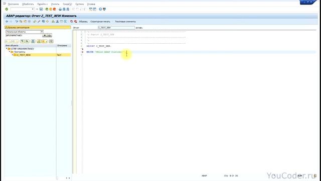SAP программа. Первая ABAP программа Se80 и Se38.