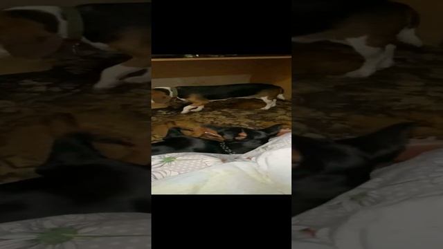 2022-11-15 смотреть онлайн