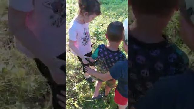 Сокровища Флинта смотреть онлайн