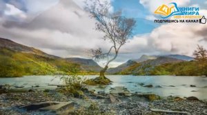 САМЫЕ МУДРЫЕ СОВЕТЫ ОТ ПРОСВЕТЛЕННЫХ НА ВСЮ ЖИЗНЬ! НИКОШО!