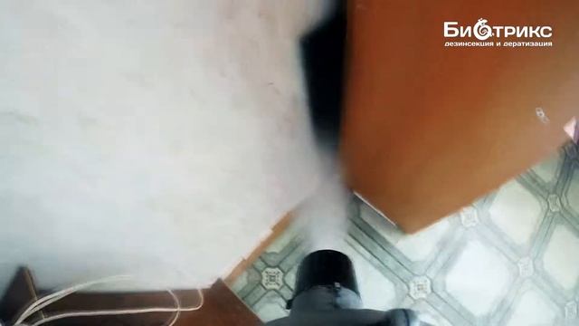 Клопы в Коломне.Как работает СЭС?Цена для квартиры смотреть онлайн