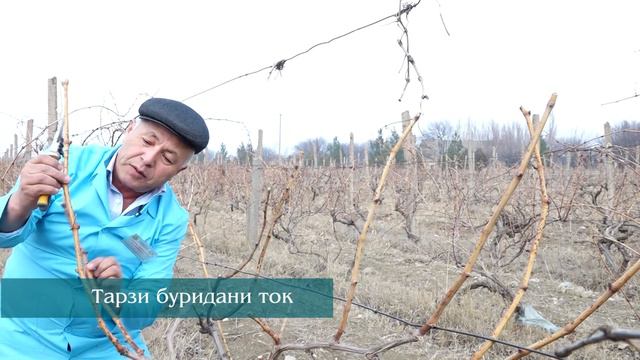 Маслихати Мутахасиси Токбури смотреть онлайн