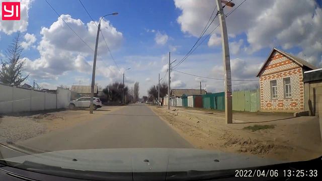 Как кошка перебегает дорогу и как это делают люди. смотреть онлайн