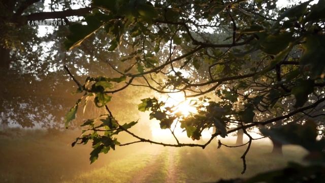 Этническая музыка славян / Славянская музыка / Вещие Сны - Кирилл Богомилов (гусли и флейты) смотреть онлайн