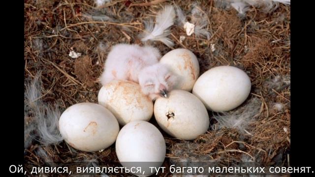 Королева тундри / 14 січня смотреть онлайн