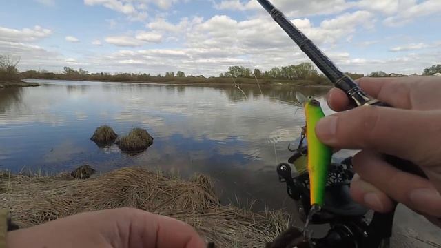 Жерех на вертушку! Рыбалка на спиннинг! Открытие сезона 2019! смотреть онлайн