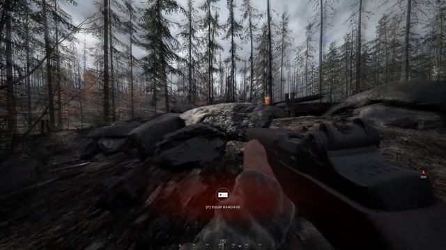 Cat & Mouse Games on Hurtgen Forest смотреть онлайн
