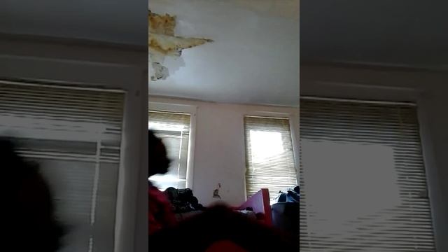 The rock paper Scissors Shoot Dare смотреть онлайн