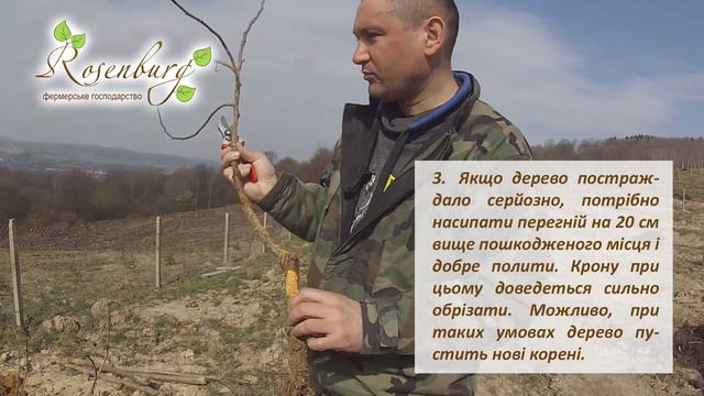 Захист насаджень від шкідників та хвороб смотреть онлайн