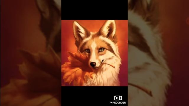 Какая ты лиса по знаку зодиака🌈 смотреть онлайн