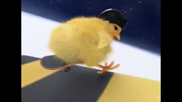 Beeline մարզային