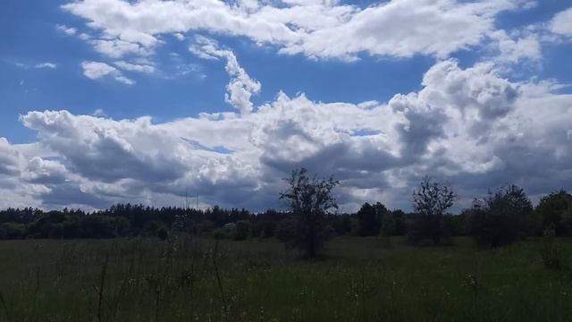 23 июня народный праздник ЗНАМЕНИЯ ТИМОФЕЯ. народные приметы и поверья смотреть онлайн