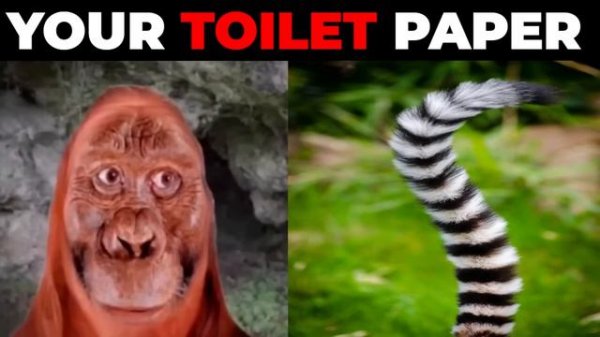 Mr Incredible Becoming Old/Uncanny Compilation