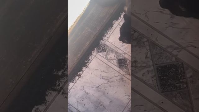 Шепоток на защиту смотреть онлайн