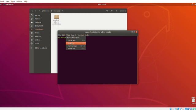 How To Install Anydesk On Ubuntu 18.04 | Remote Desktop