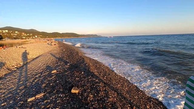 ЛАЗАРЕВСКОЕ 2020?Вечерняя прогулка! Шарик, как Акелла в мультике- важный! смотреть онлайн