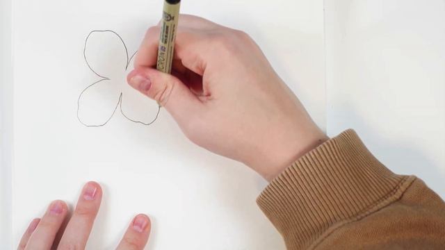 How To Draw An Anemone (And Other Flower Drawing Tips!) смотреть онлайн
