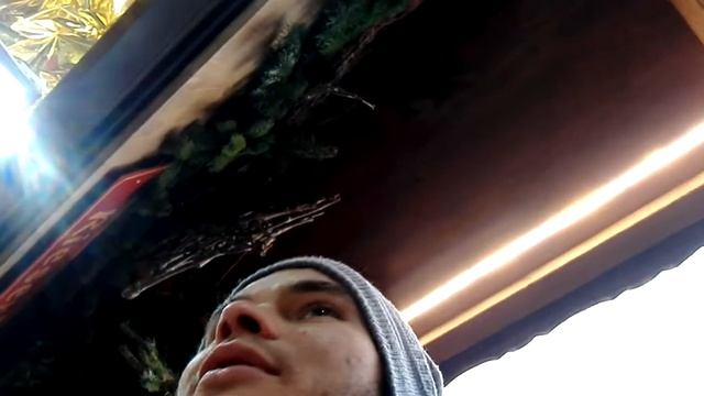 баварские колбаски только в баварии смотреть онлайн