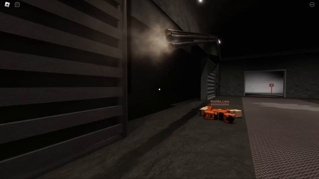 ОББИ НА ДВОИХ, НО НАС ЗАПЕРЛИ В БУНКЕРЕ! Roblox Colors in Question смотреть онлайн