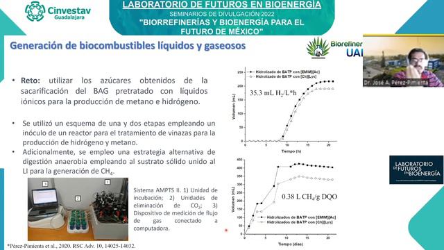 Biorrefinerías sustentables basadas en el pretratamiento con líquidos iónicos en bagazo de Agave смотреть онлайн