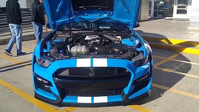 ? 2023 McCombs Ford West, 2022 Blue Ford Mustang GT500 Coupe, San Antonio, Texas смотреть онлайн