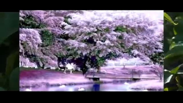 Владимир Захаров и Рок острова Сирень Remixes смотреть онлайн