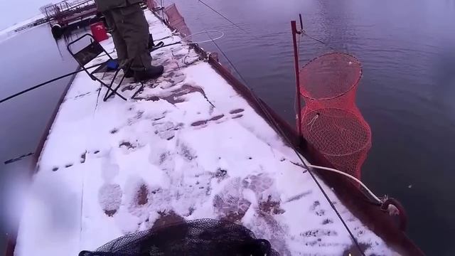 Форель на платном водоеме. (Бисерово, VIP) смотреть онлайн