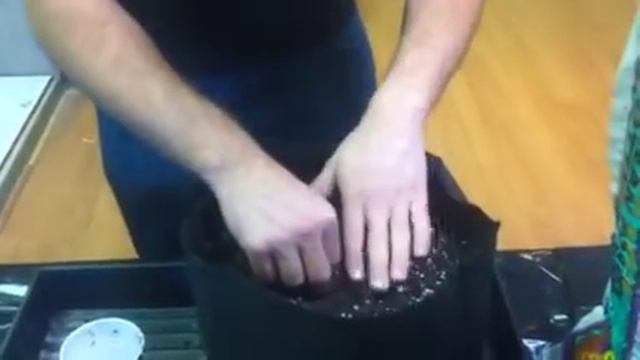 How to plant seedlings --completely legal tv-- смотреть онлайн
