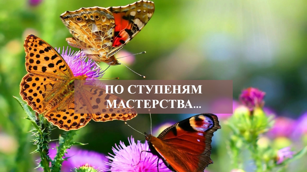 ПО СТУПЕНЯМ МАСТЕРСТВА....mp4 смотреть онлайн