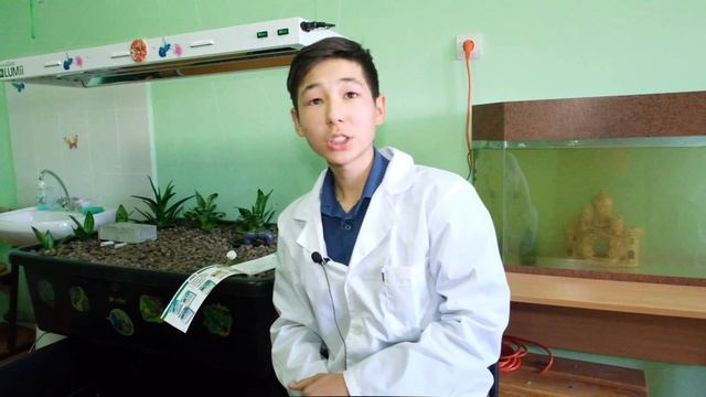 Проект аквопоника...Нильская теляпия смотреть онлайн