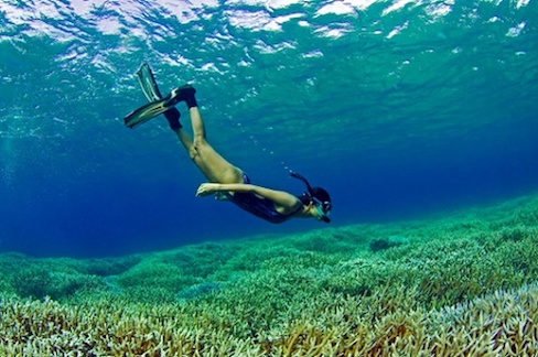 Хиккадува Шри Ланка, снорклинг