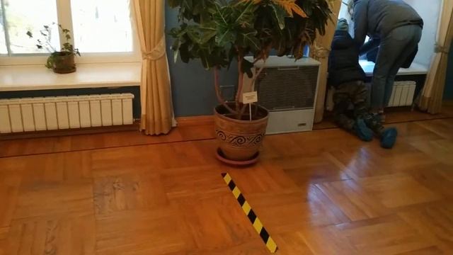 Синяя гостиная Усадьба Люблино смотреть онлайн