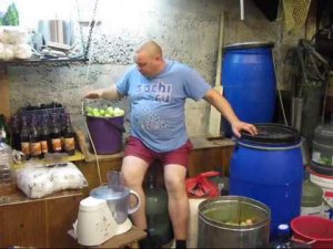 Яблочное вино и кальвадос.