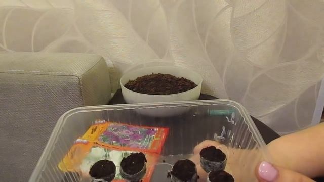 Начинаю посев Эустомы.01.01.2020г.Шаг первый. смотреть онлайн