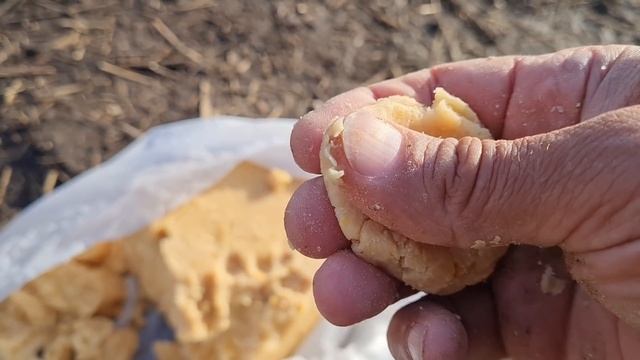 СЕКРЕТЫ ПРИКОРМКИ. МАСТЫРКА, ЧТО ЭТО? РЕЧНАЯ РЫБАЛКА . смотреть онлайн