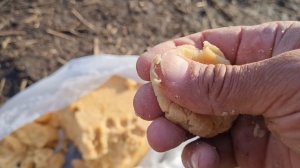 СЕКРЕТЫ ПРИКОРМКИ. МАСТЫРКА, ЧТО ЭТО? РЕЧНАЯ РЫБАЛКА .