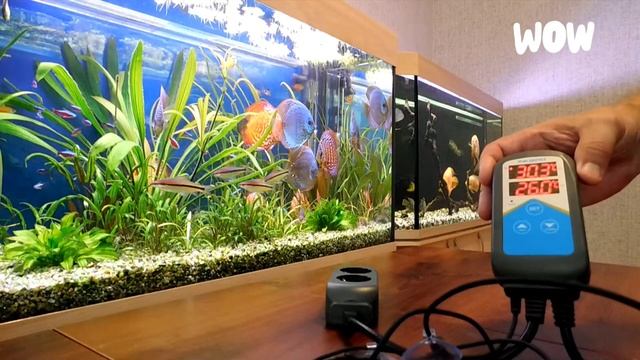 Терморегулятор INKBIRD ITC- 306A. Обзор.