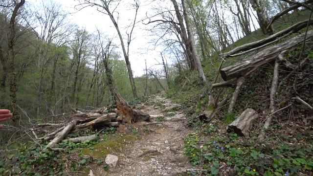Свирское ущелье- Курорт Лазаревское. Водопады, дольмен, лунный камень. Сочи 2022. смотреть онлайн