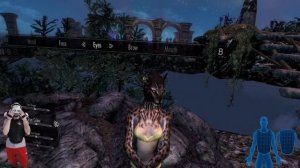 Skyrim VR  - ОБНОВИЛ СБОРКУ! НОВАЯ ИГРА! НАСТРОЙКА МОДОВ! СНОВА!