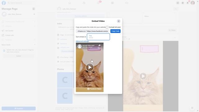 How To Embed A Facebook Video On A WordPress Website? [in 2023] смотреть онлайн