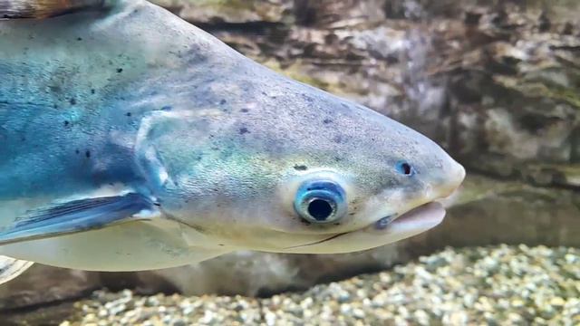 Подводный мир