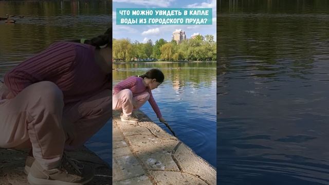 Что можно увидеть в капле воды из городского пруда? смотреть онлайн